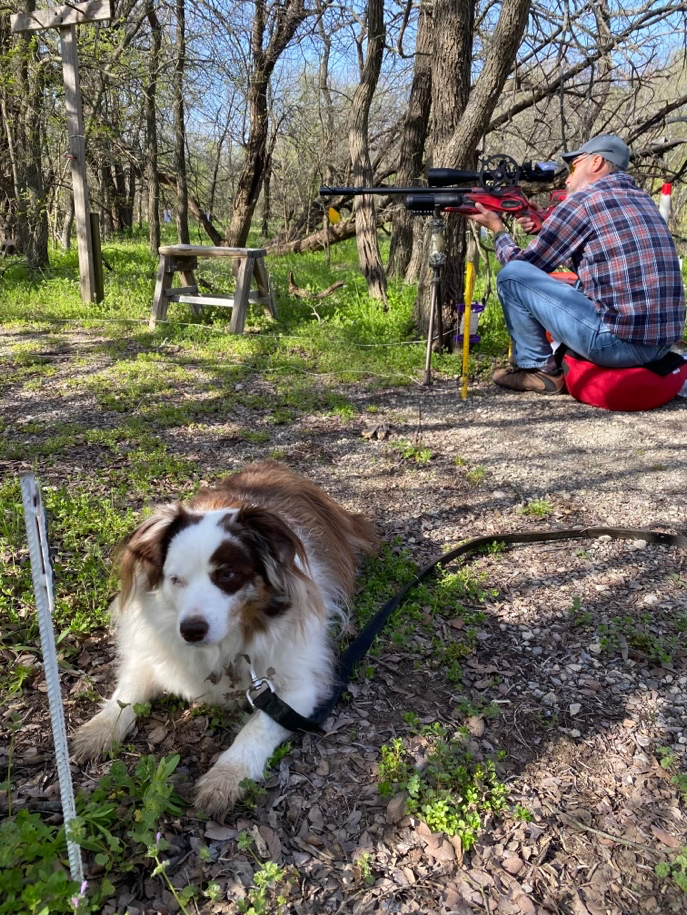 A dog lying on the ground next to a person  AI-generated content may be incorrect.