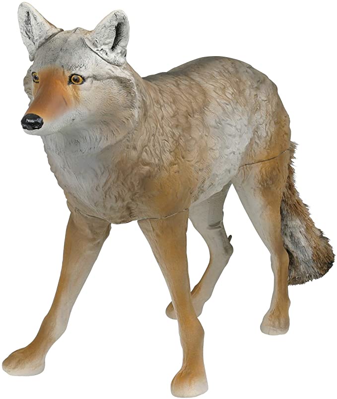 174F45E7-730F-4555-90F2-AF9E2DFDDFD1.1600498951.jpeg