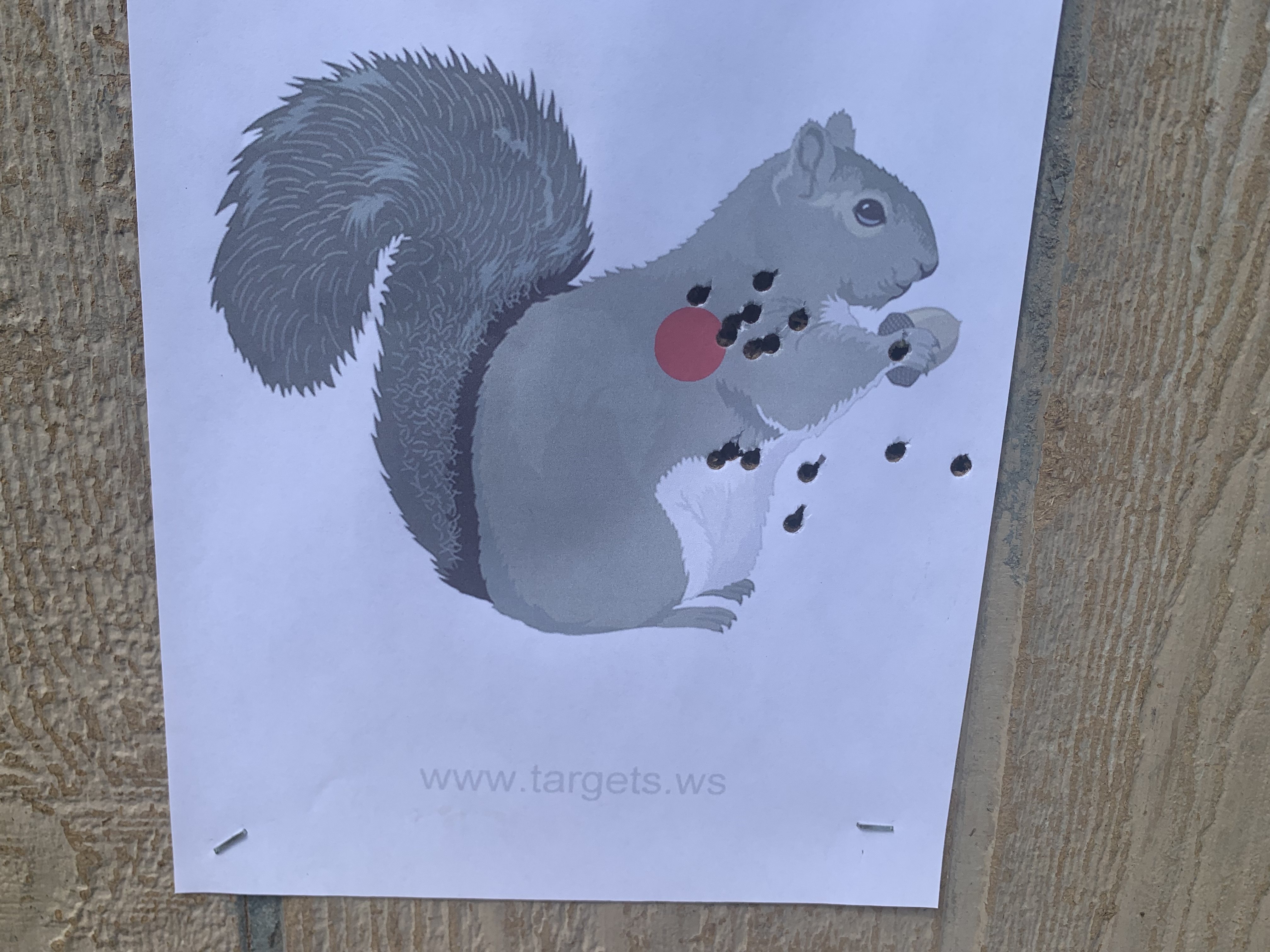 1750452976547.jpeg