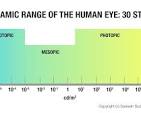 What is the Dynamic Range of the Human Eye?