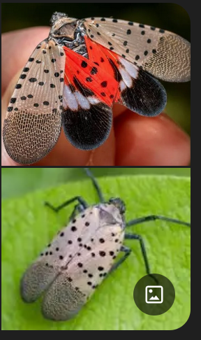 1757788561642.png