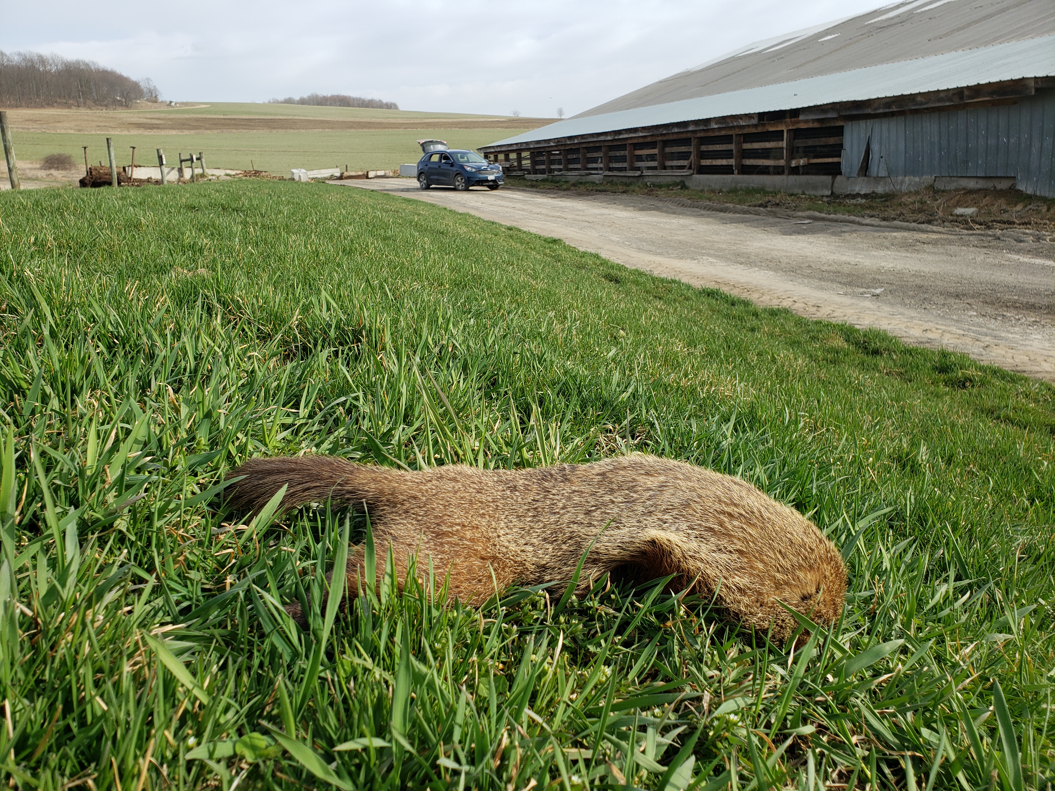177rti-35yds-chuck1_farm2_2023.jpg