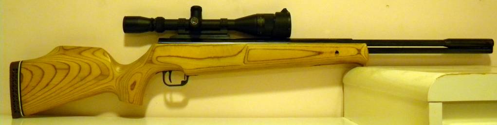 178 Beeman Dual Magnum.1599850970.JPG