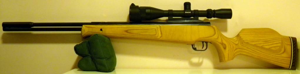 178 Beeman Dual Magnum .22.1599850970.JPG
