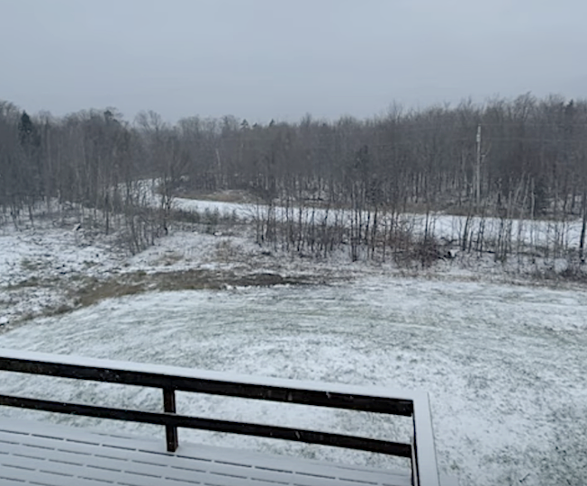 1st snow.png