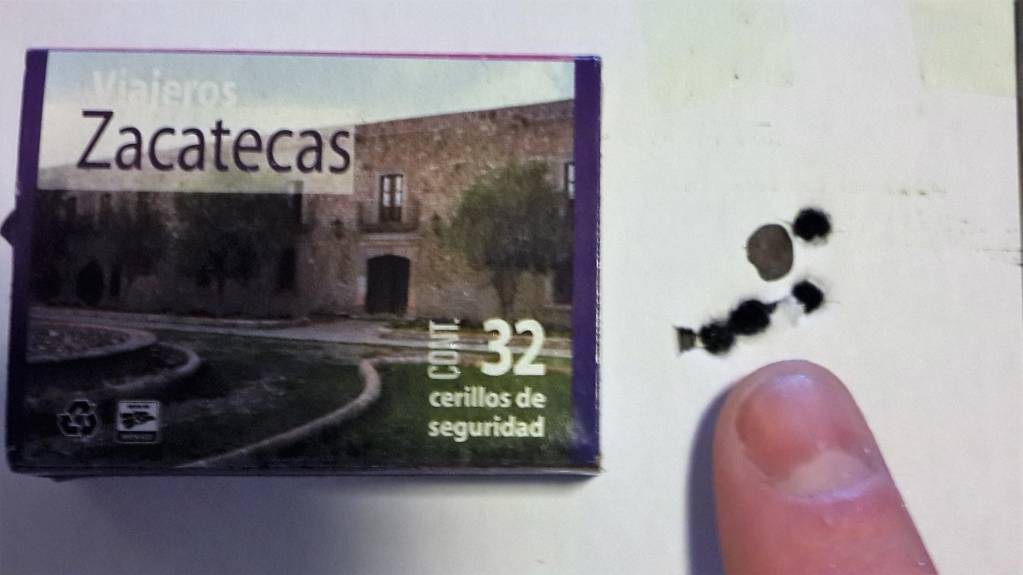 2.1613929022.jpg