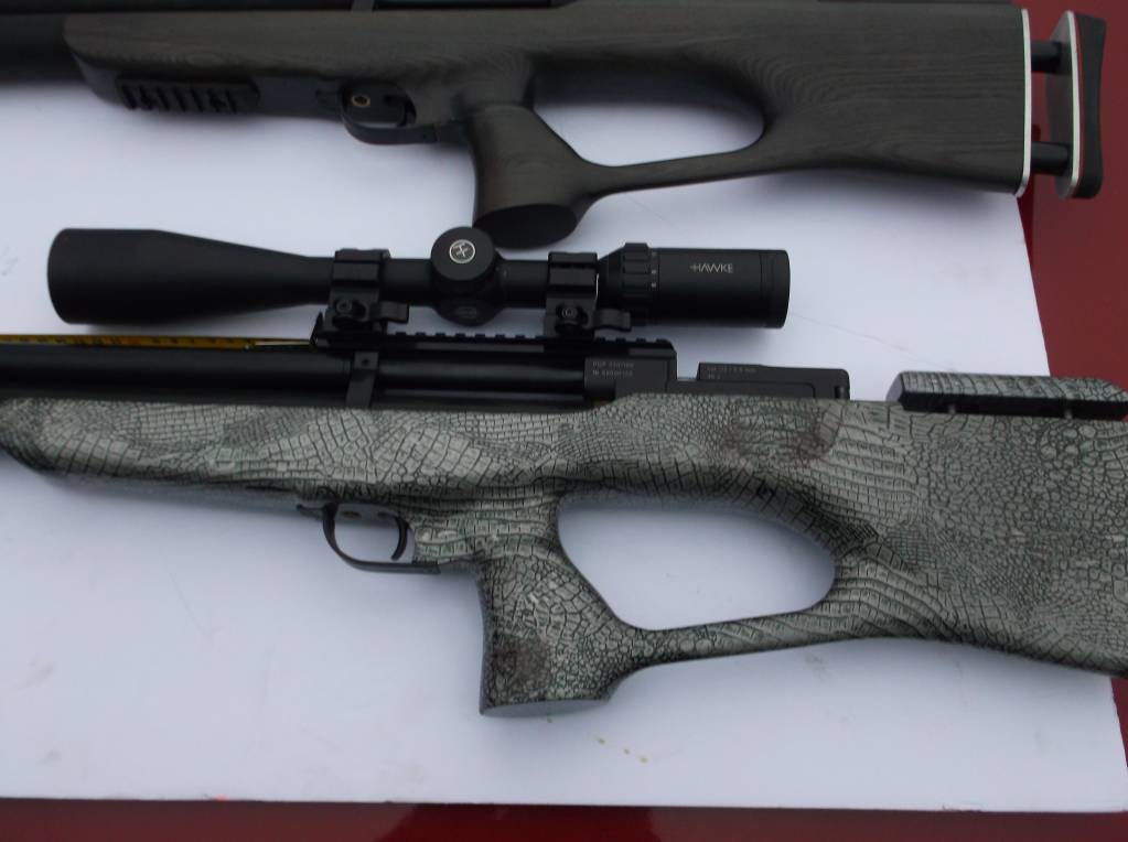 2 ZBOIA gator.1608002756.JPG