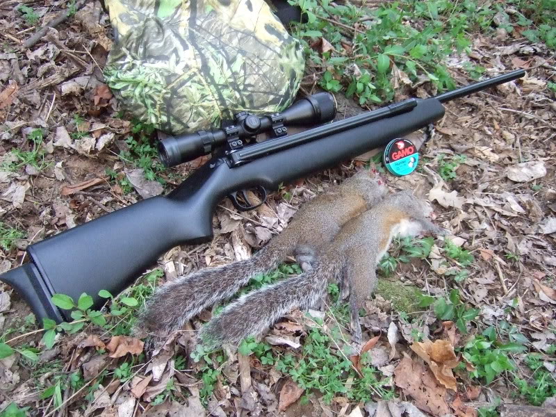 2007_0602GamoHunter0002-1.1610893382.JPG