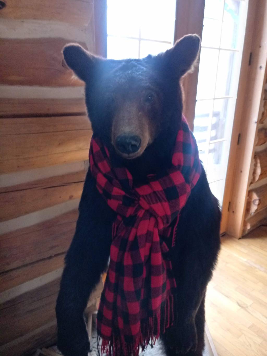 20181119_141350_HDR.1610927890.jpg