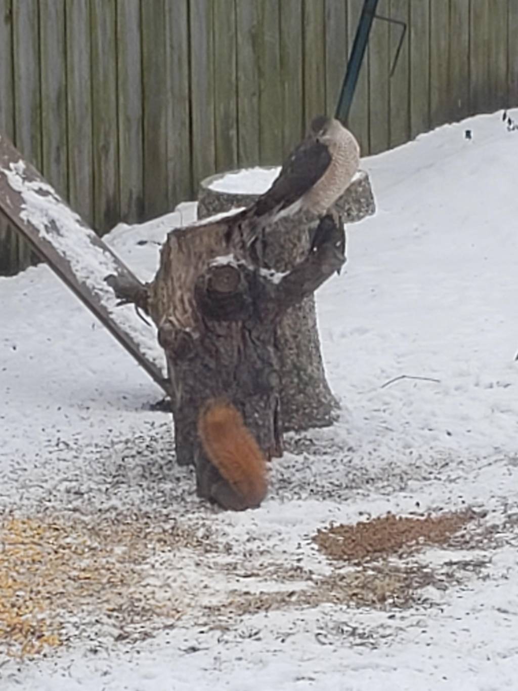 20190305_120217.1624144645.jpg