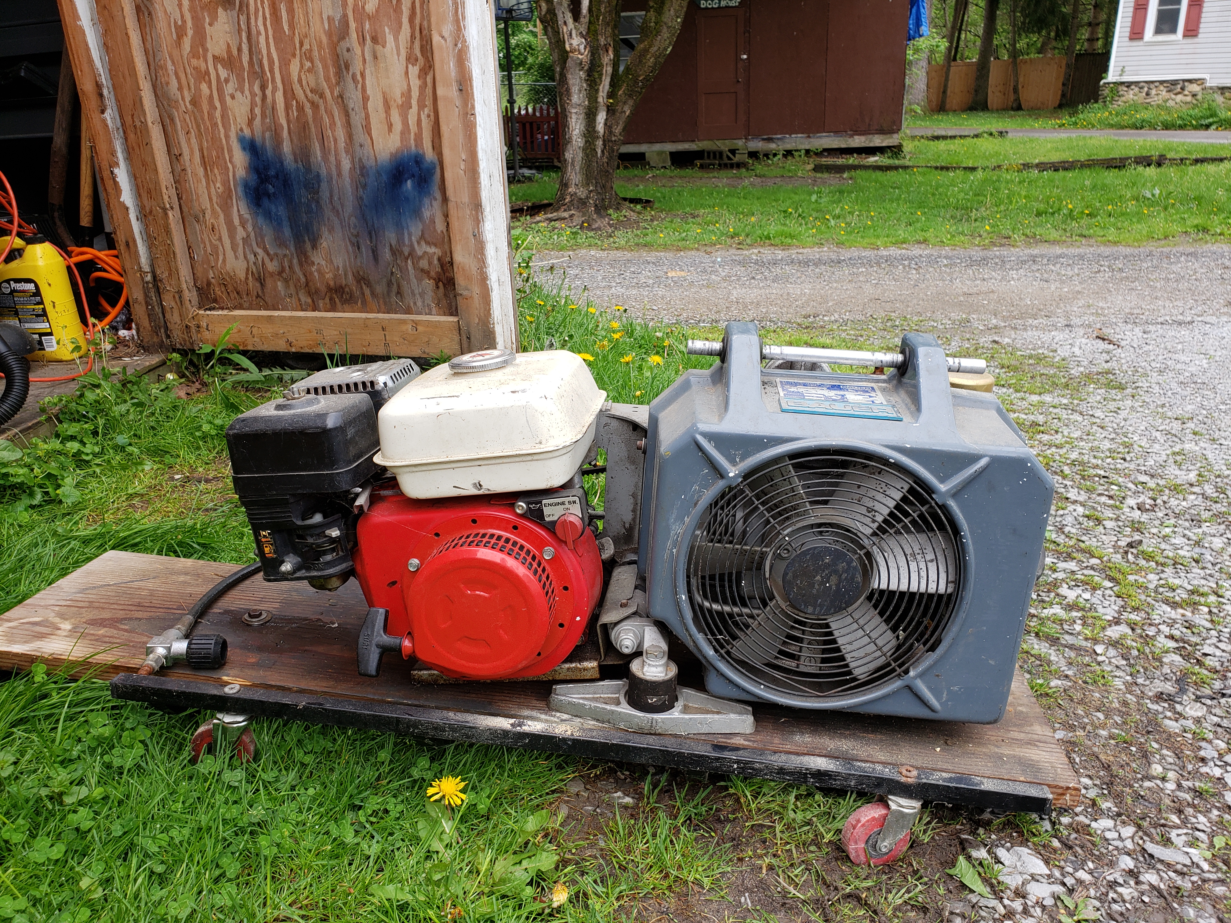 20190504_120202.jpg