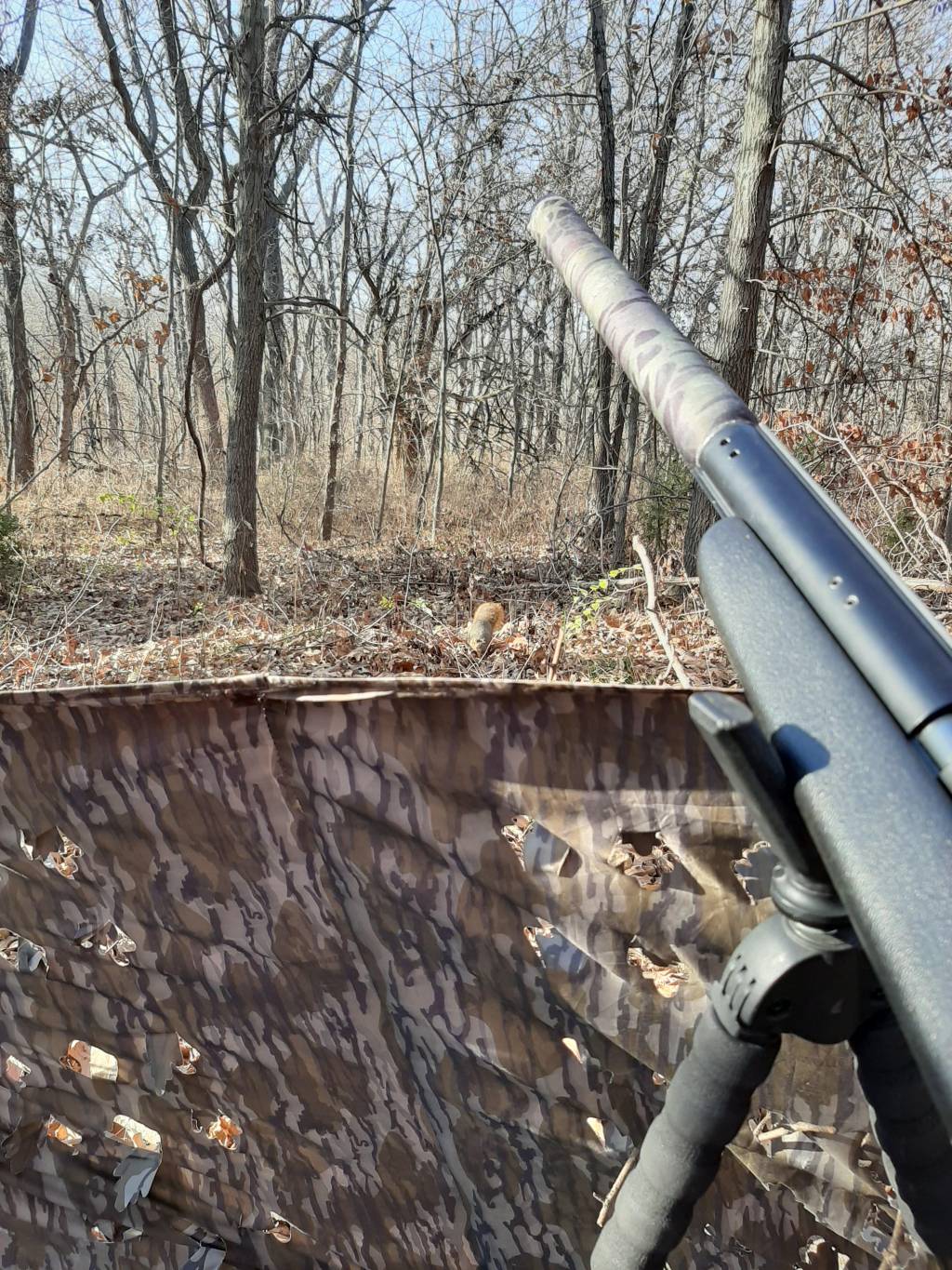20201119_143238.1607476506.jpg