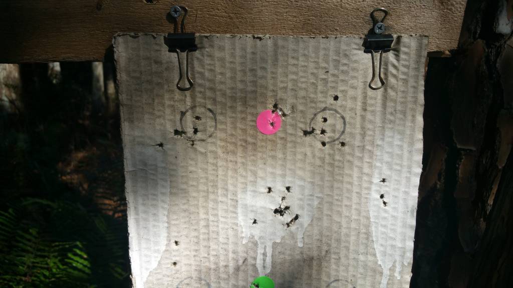 20201205_133753.1607196212.jpg