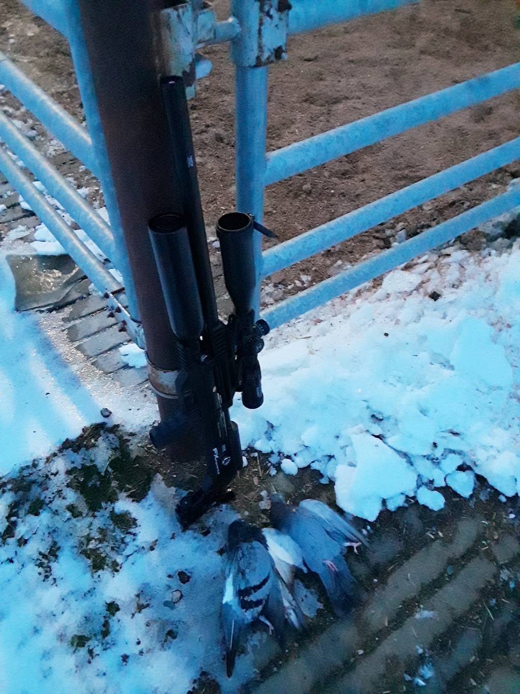 20201231_183002.1609460780.jpg