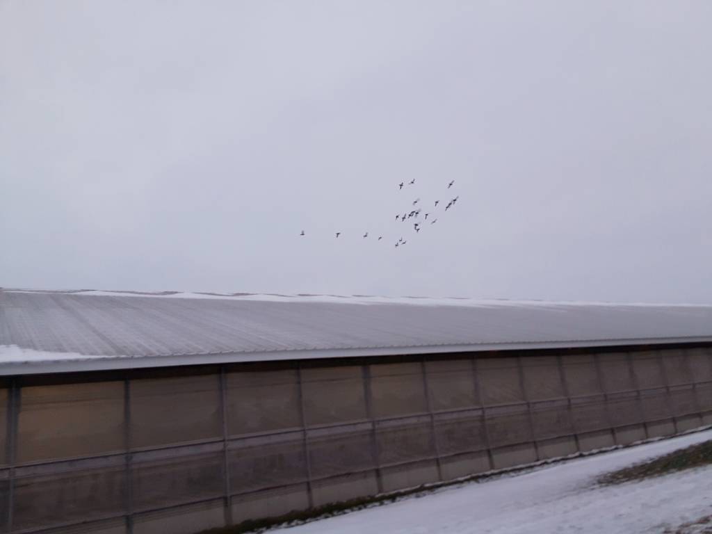 20201231_183239.1609460840.jpg