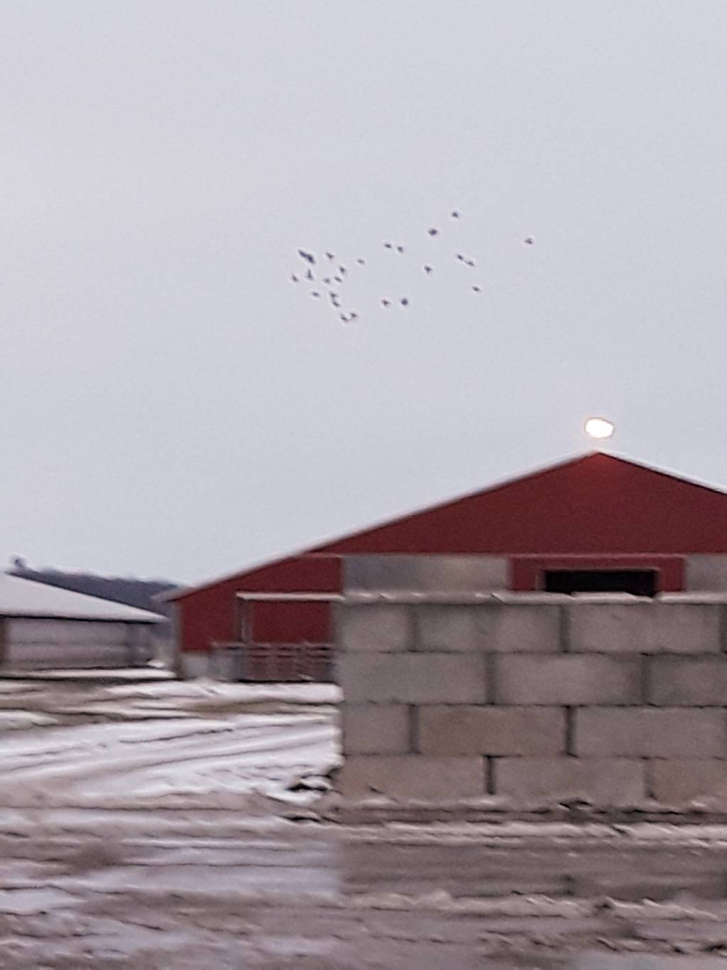 20201231_183323.1609460887.jpg