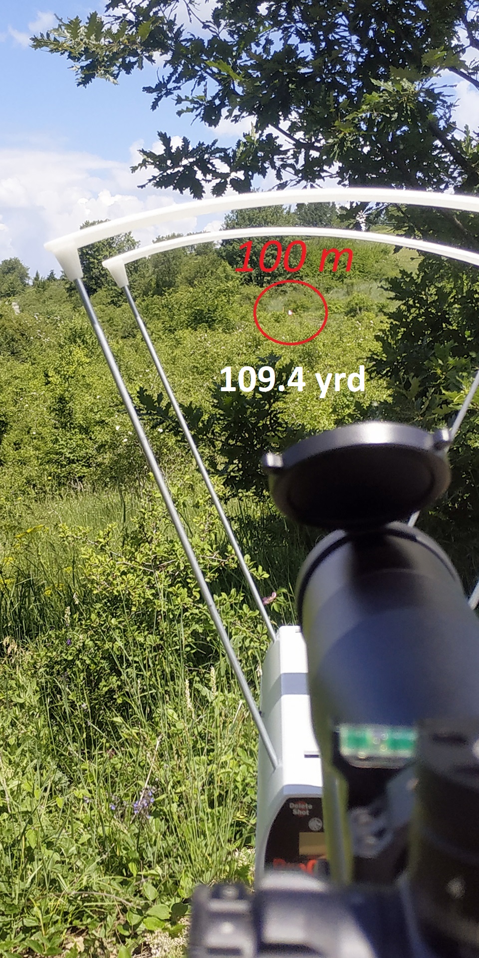 2021.1623325221.jpg