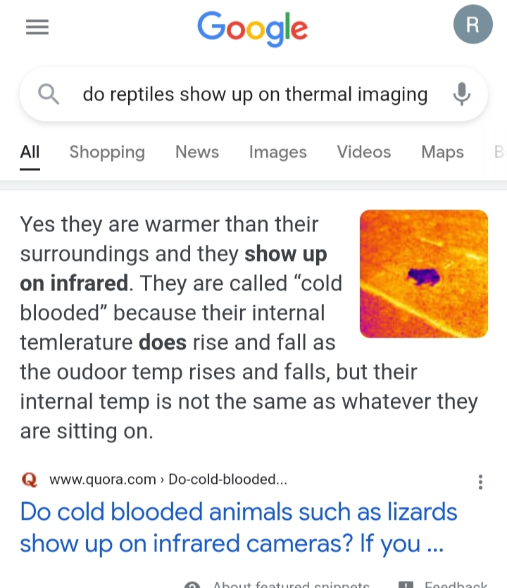 20210202_183250.1612319943.jpg