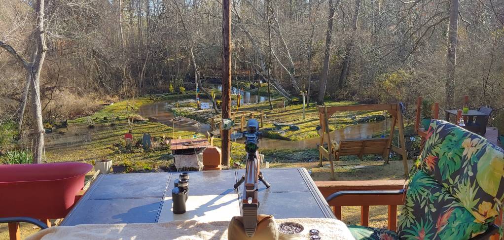 20210220_090224_HDR.1613931773.jpg
