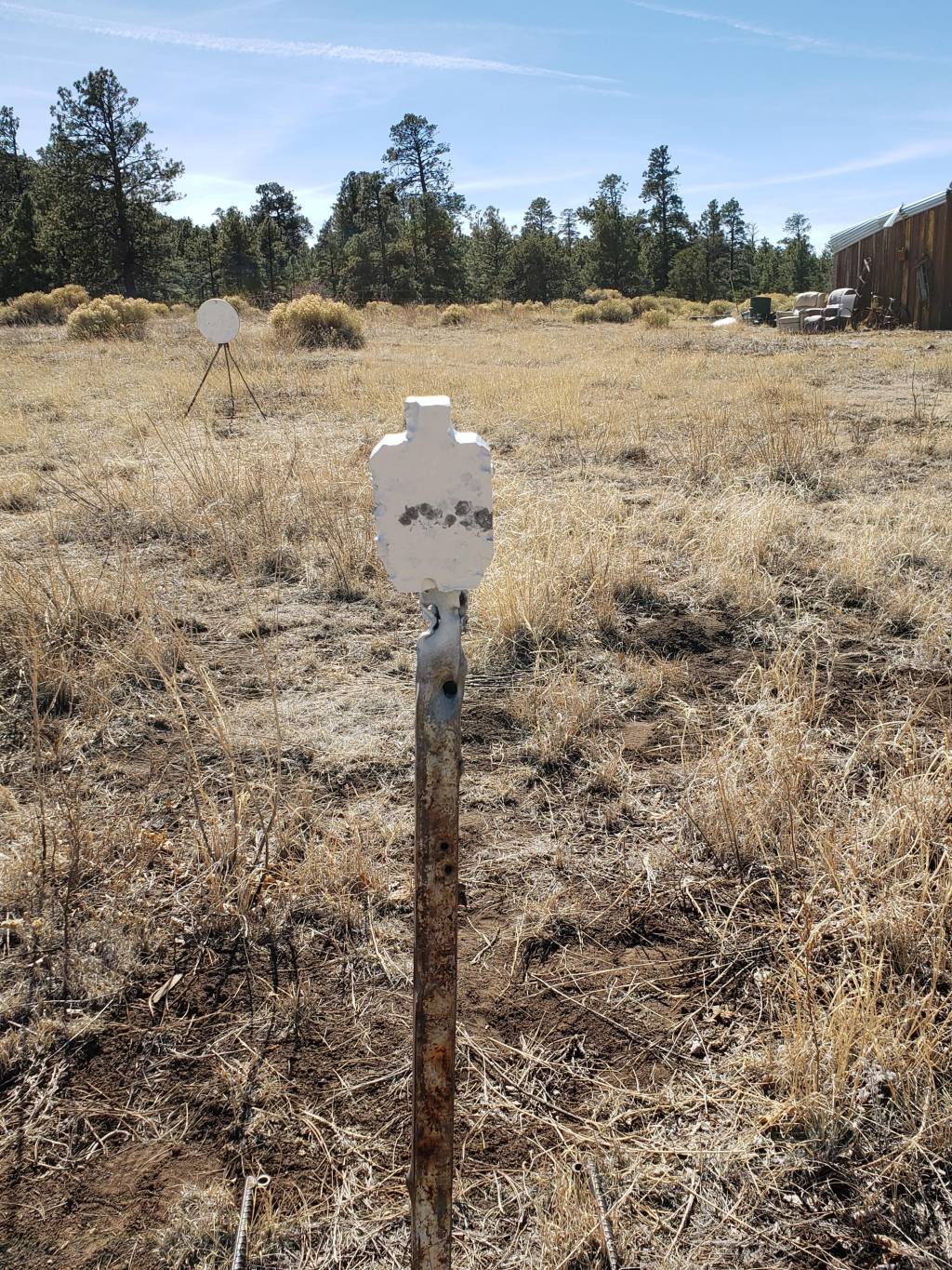 20210223_125617.1614118762.jpg