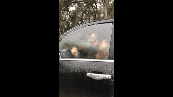 20210226_115006.1614361899.gif