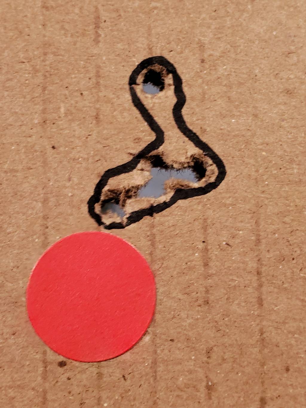20210410_171508.1618164851.jpg