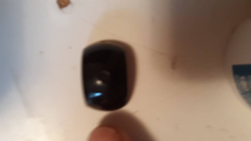 20210423_173544.1619217577.jpg
