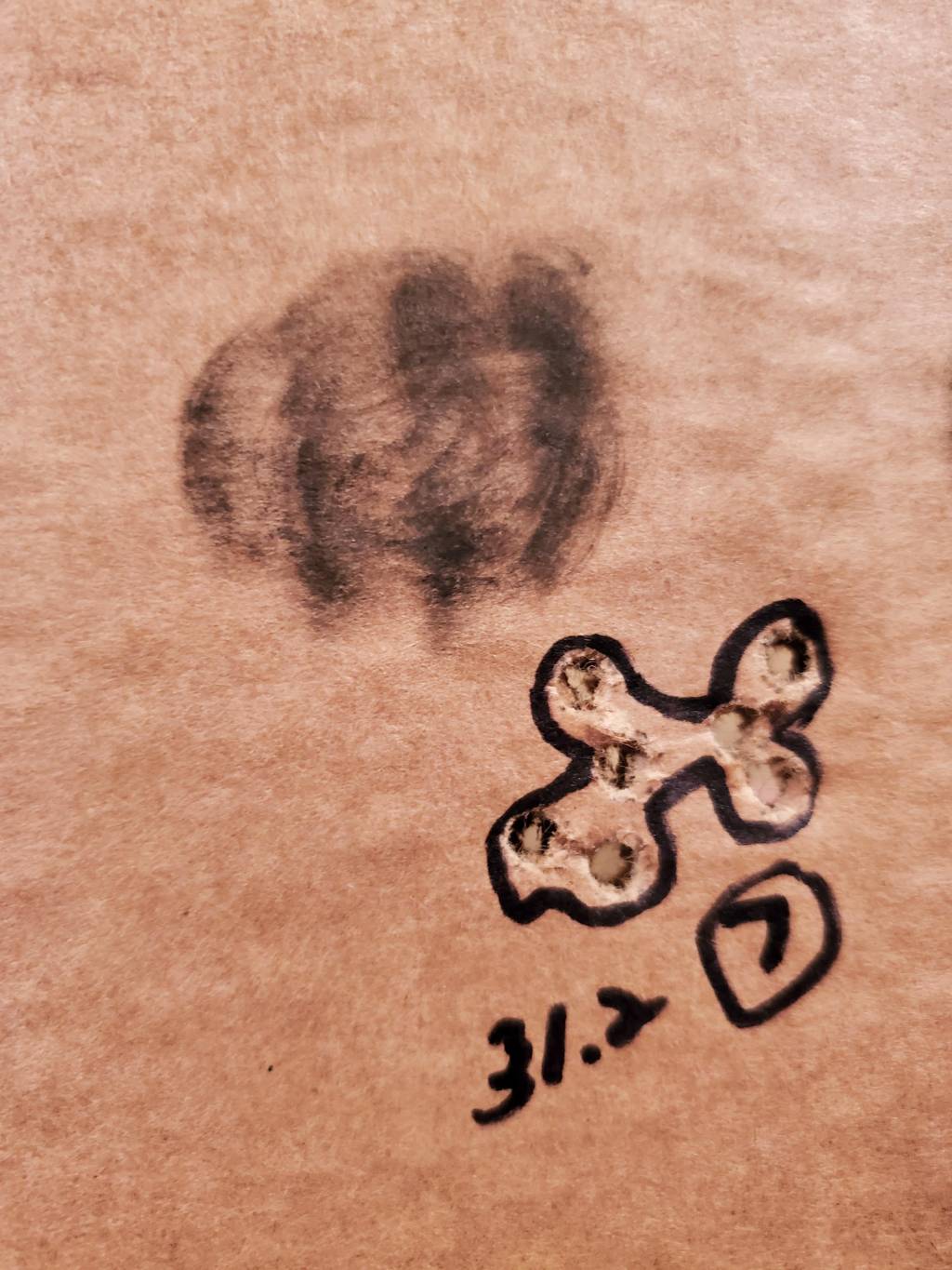 20210530_134348.1622409103.jpg