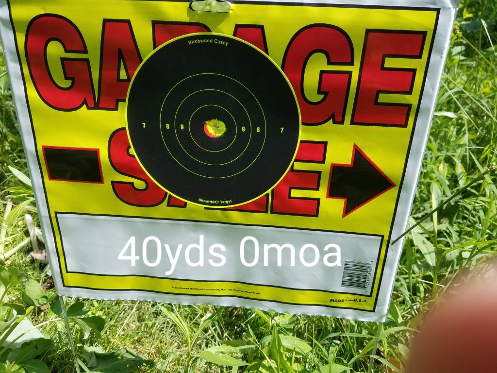 20210531_114752.1622511640.jpg
