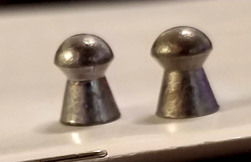 20210811_132847.1628713819.jpg