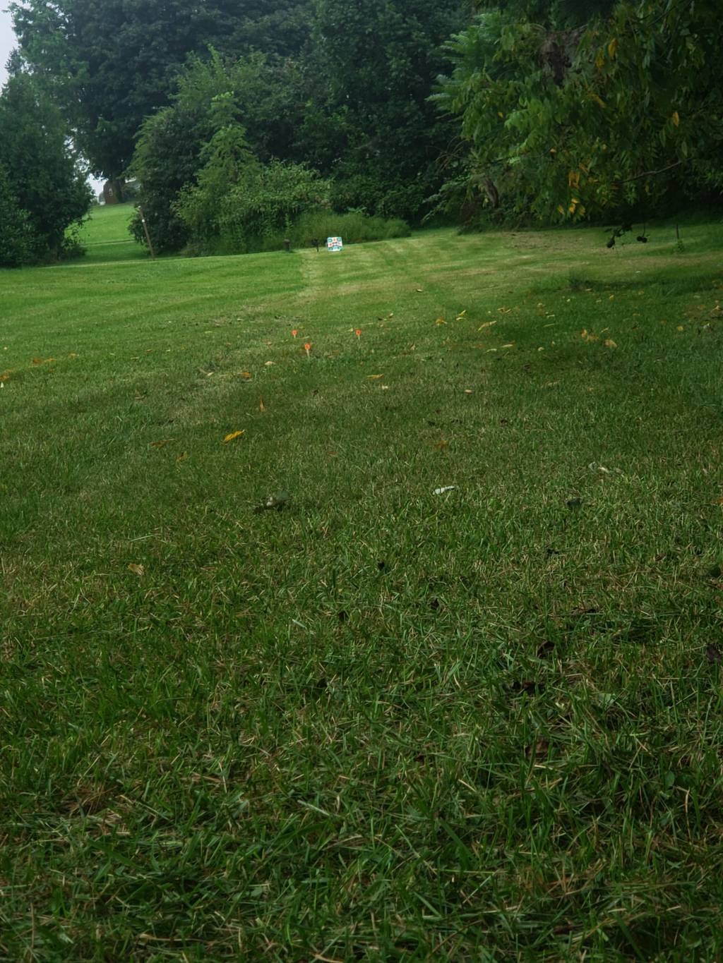 20210822_182658.1632013134.jpg