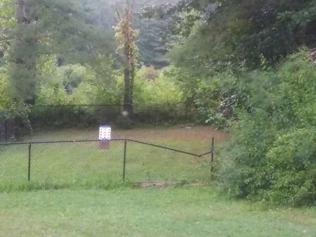 20210830_191101.1630366060.jpg