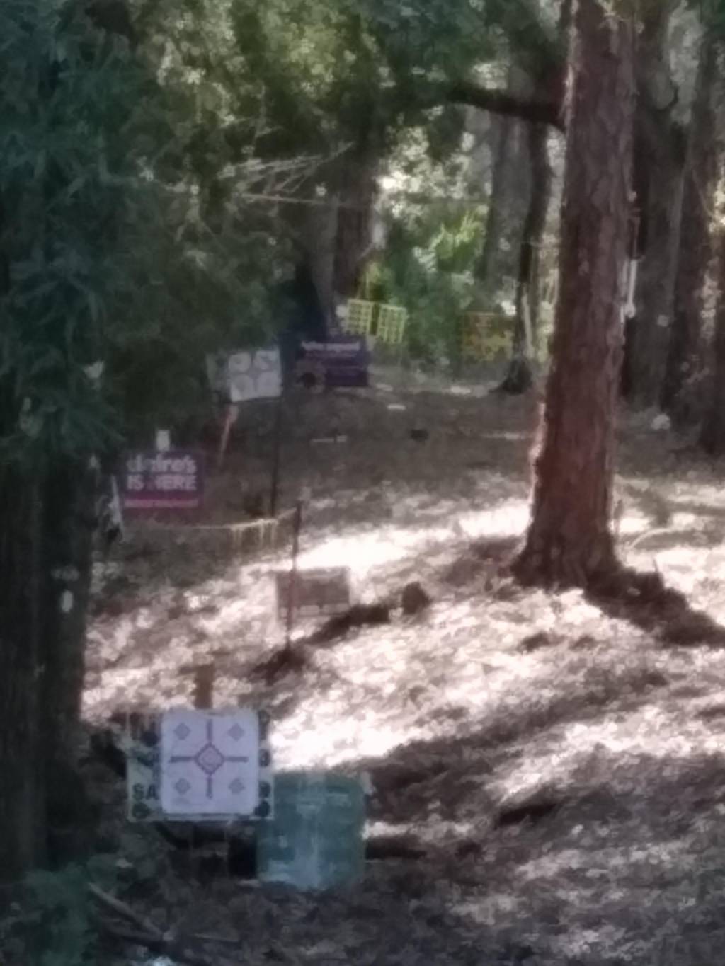 20211008_164011.1633740187.jpg