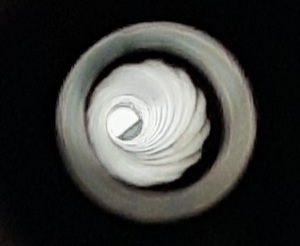 20211031_124531.1635698931.jpg