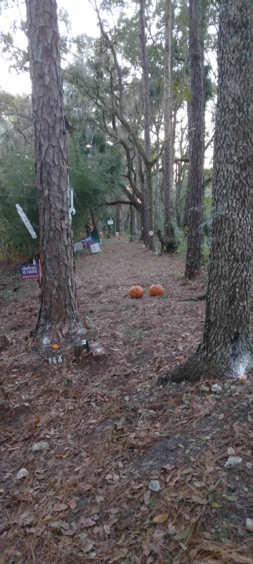20211103_183505.1635979720.jpg