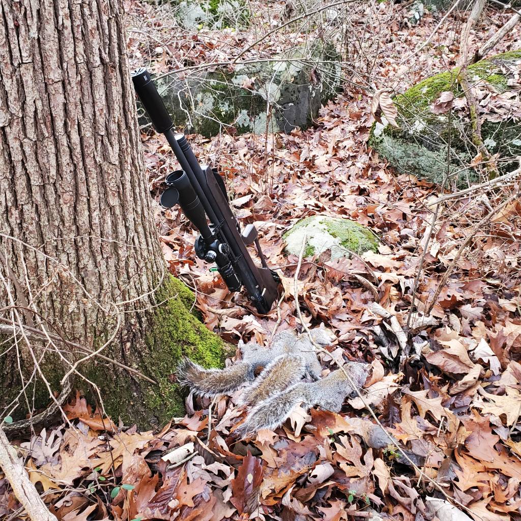 20211229_161358.1640821626.jpg