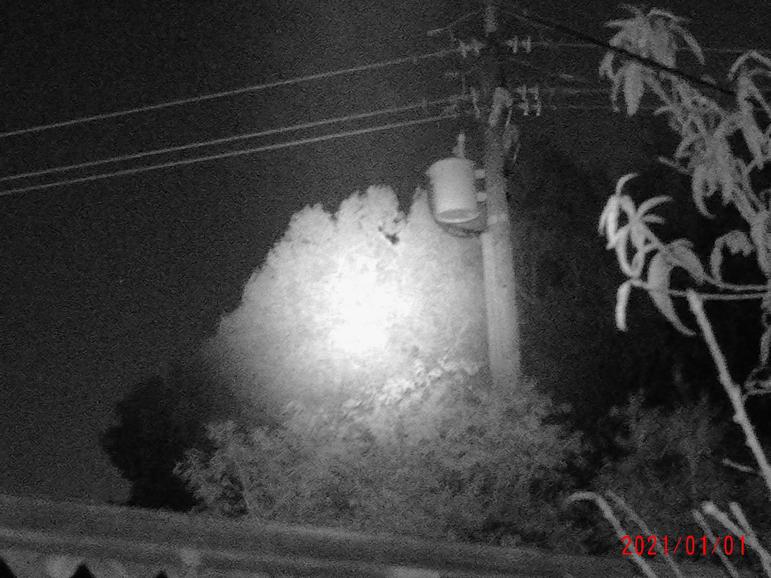 2021_0101_104155_006.JPG