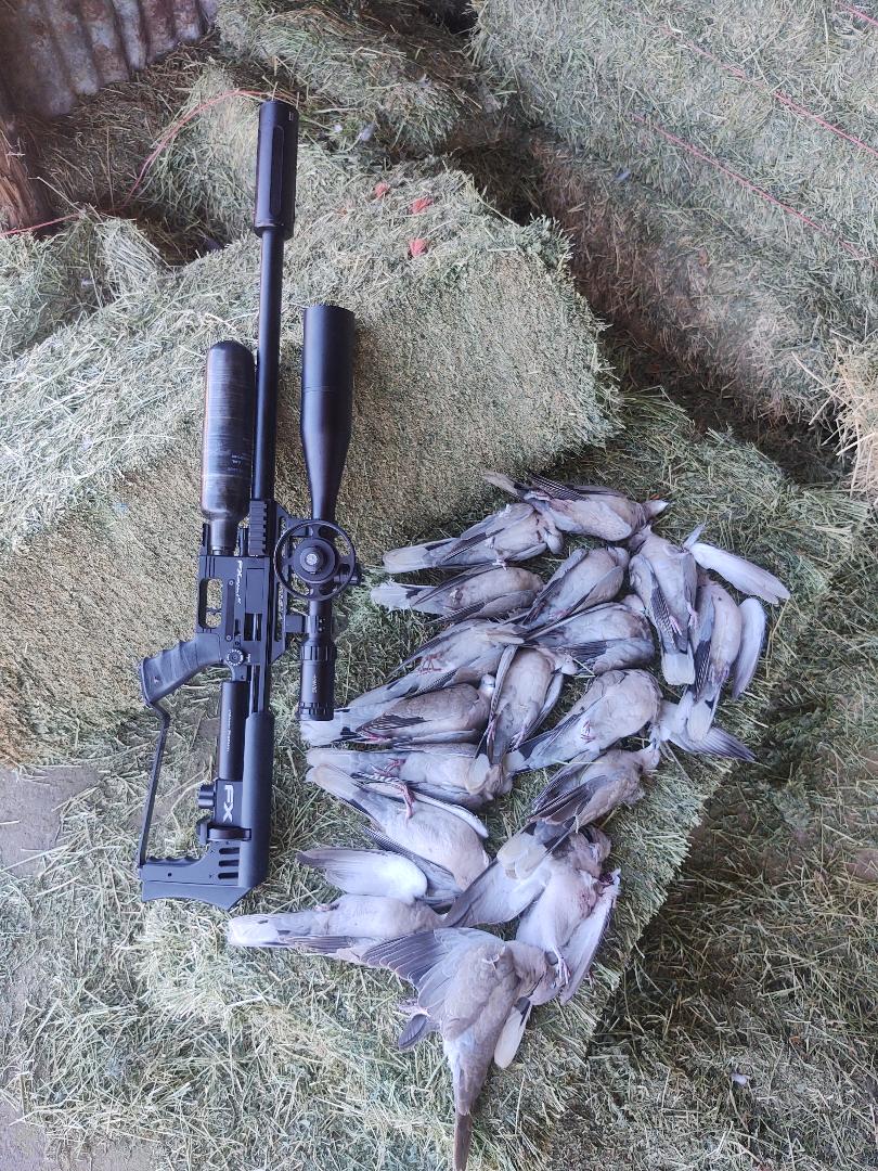 2021doves.1636899260.jpg