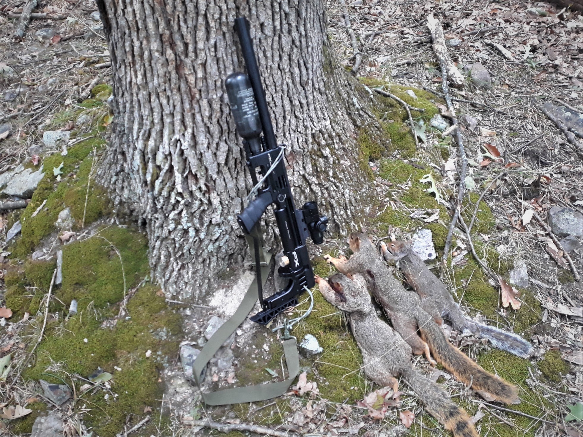 2022 squirel hunt.jpg