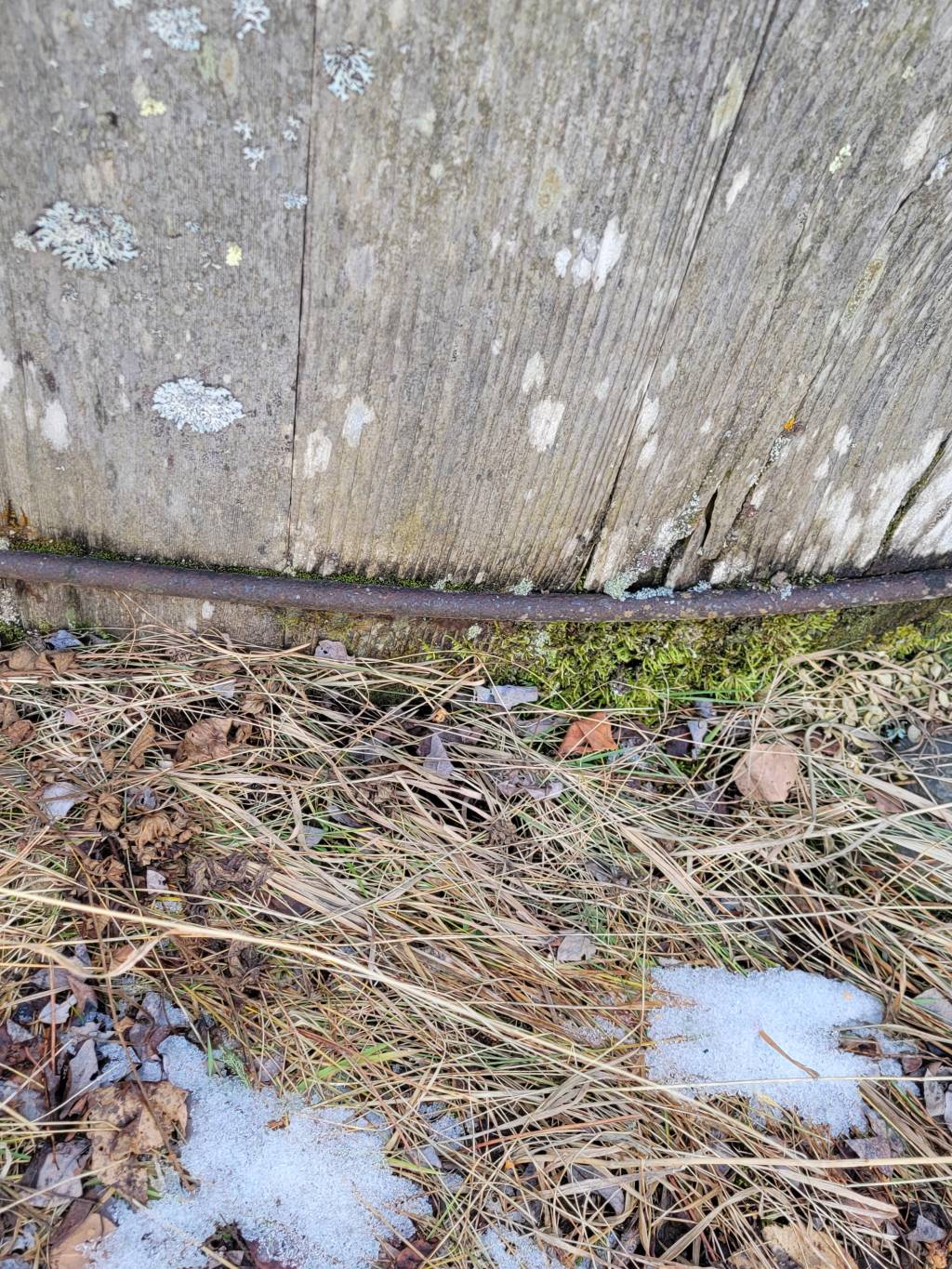 20220117_132452.1642460076.jpg