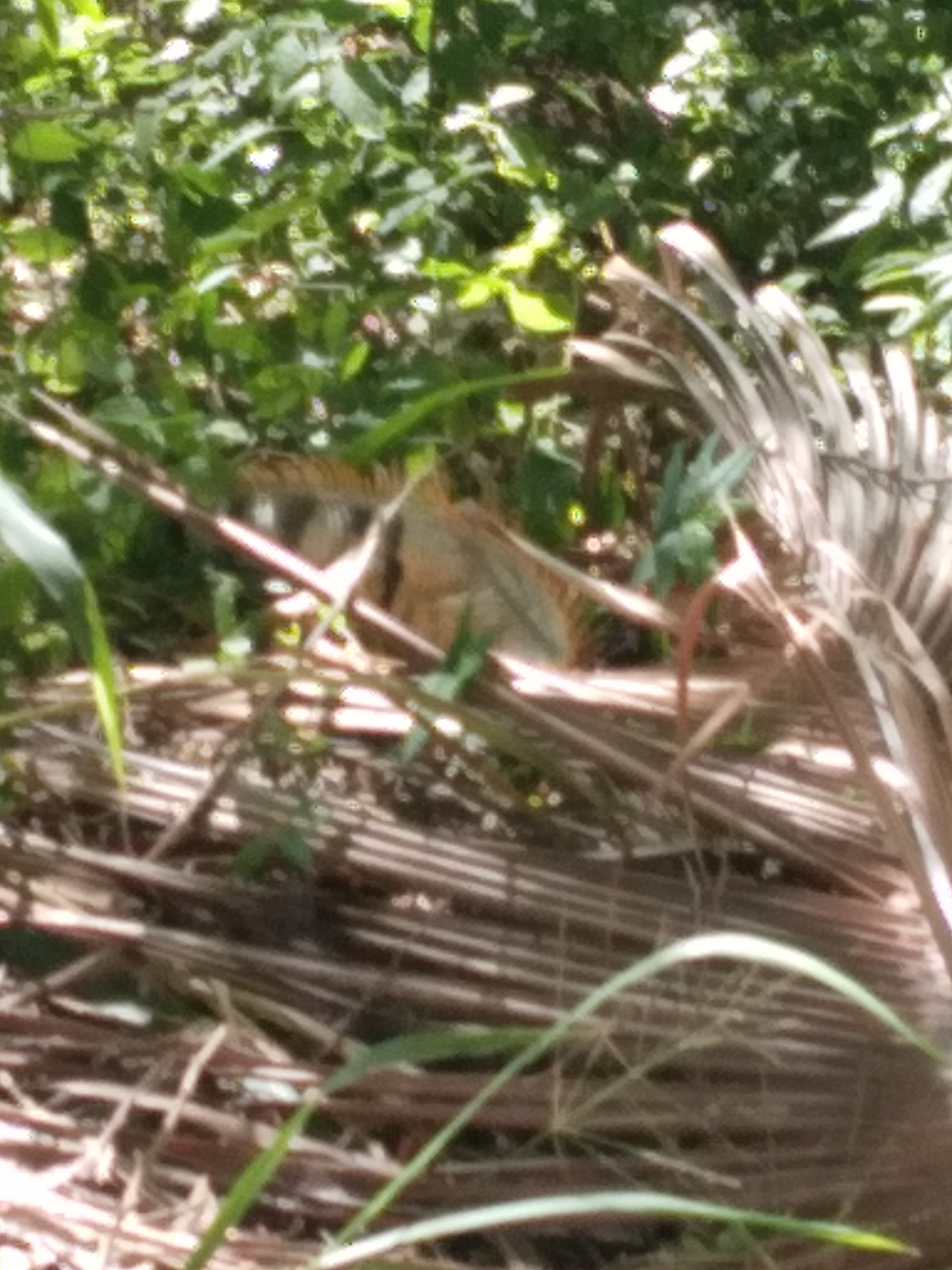 20220121_134948.jpg