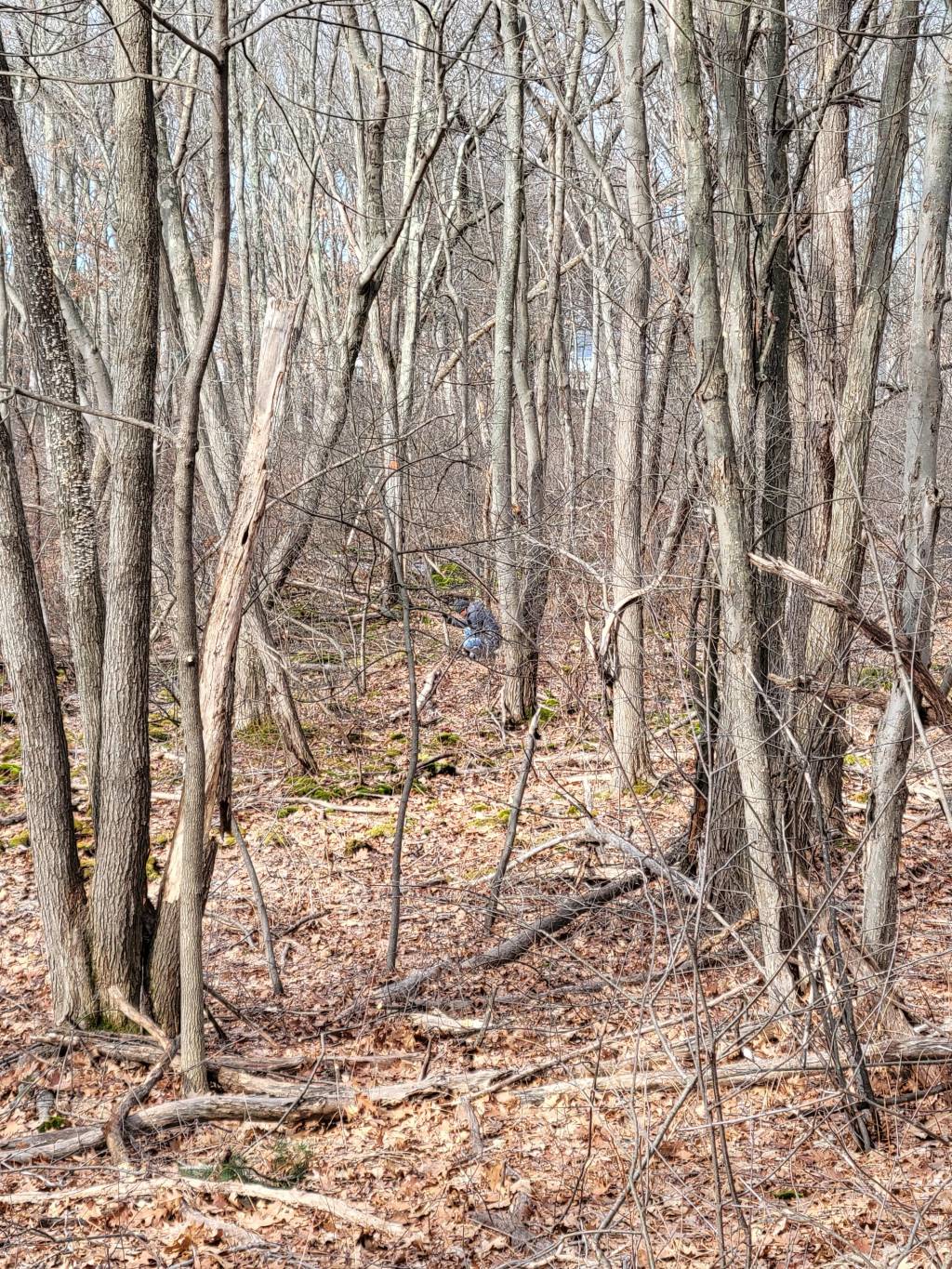 20220122_110032.1642948737.jpg