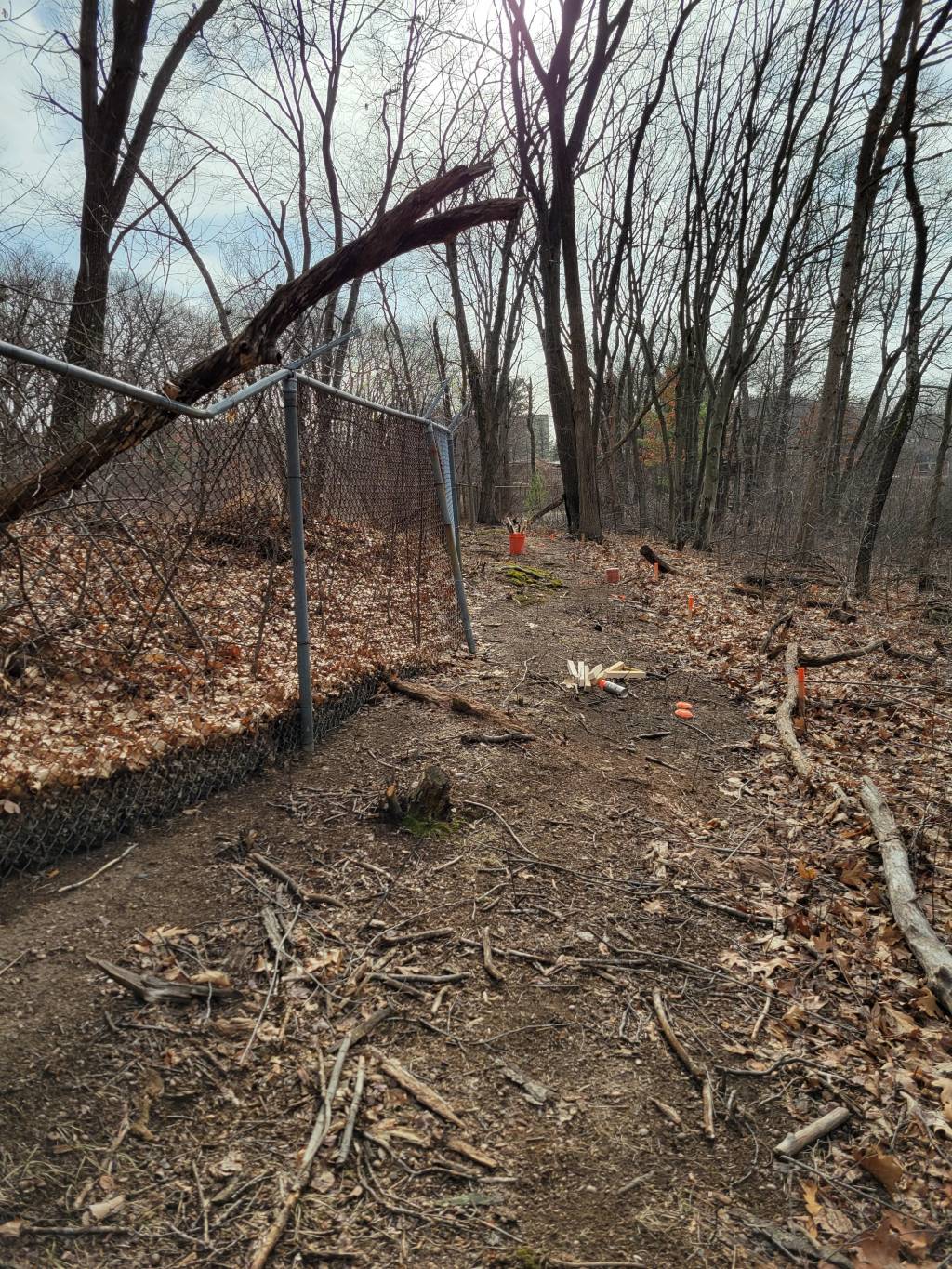 20220122_110056.1642948724.jpg
