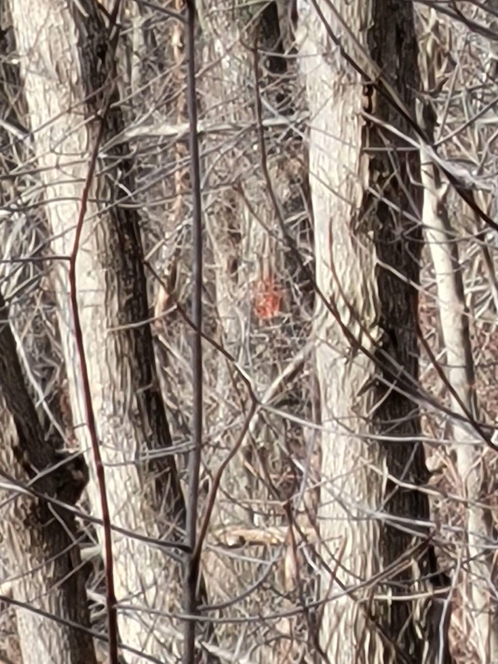 20220122_110134.1642948732.jpg