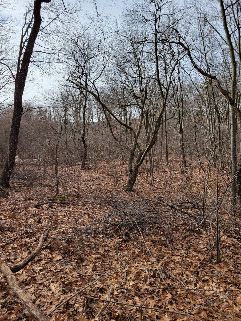 20220122_110147.1642948730.jpg