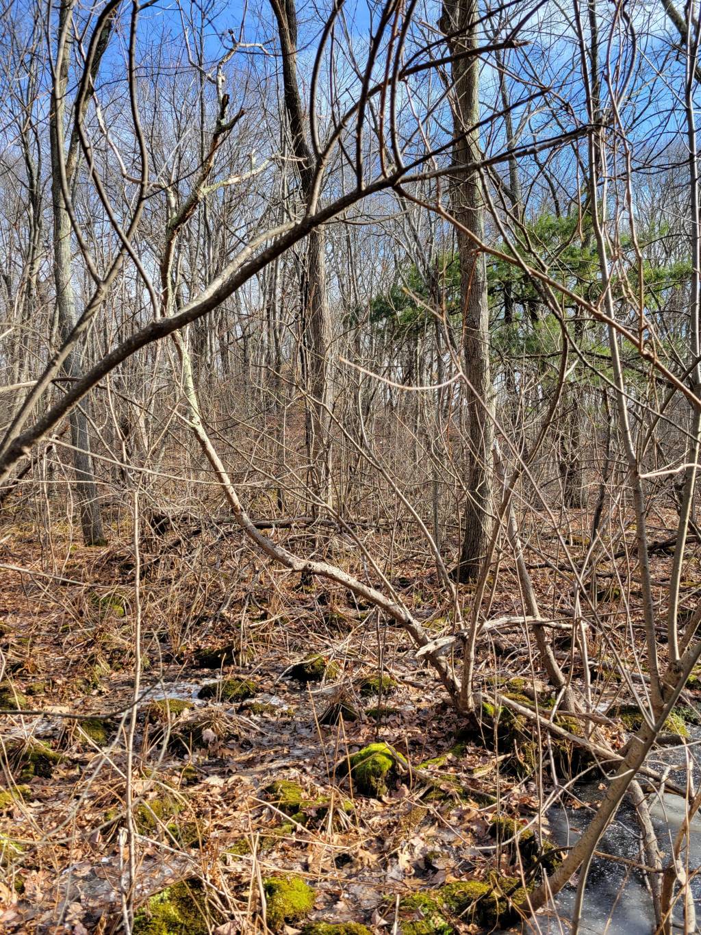 20220122_112103.1642948728.jpg