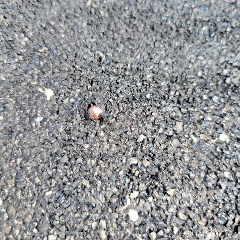 20220313_160852.1647203462.jpg