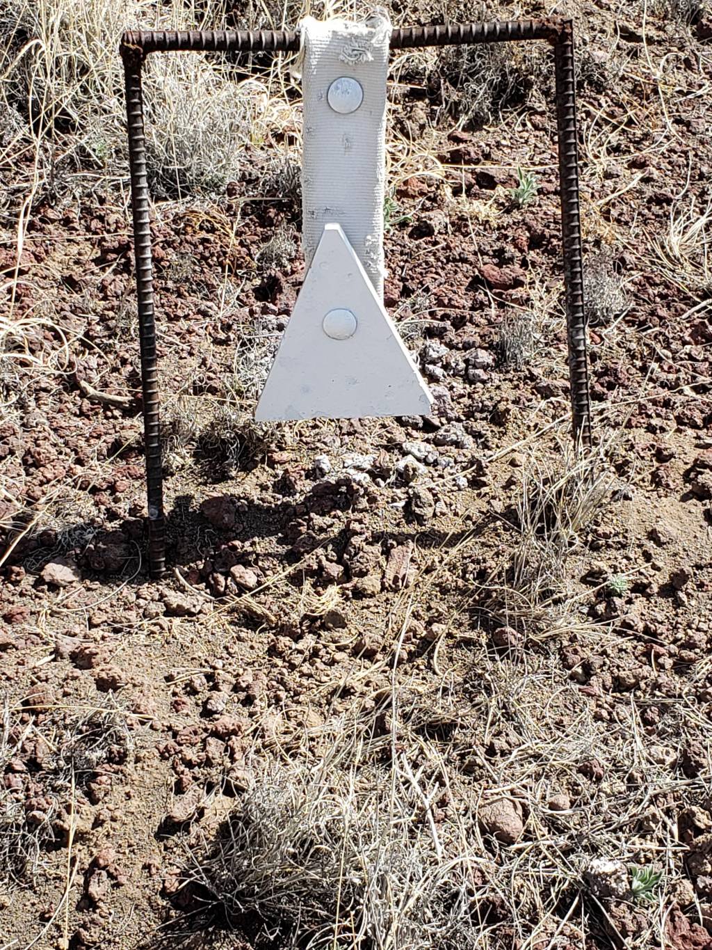 20220401_110757.1648852021.jpg