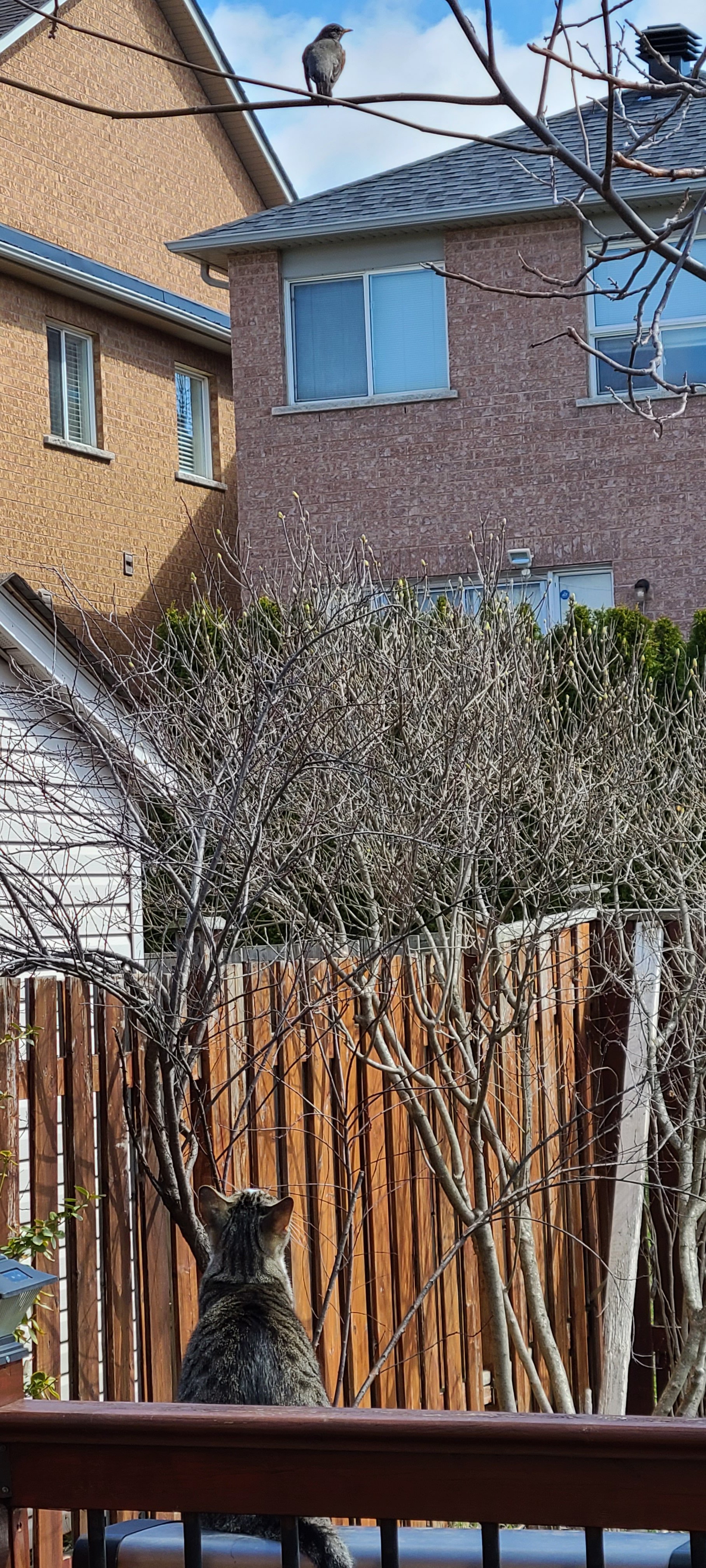 20220422_110913.jpg