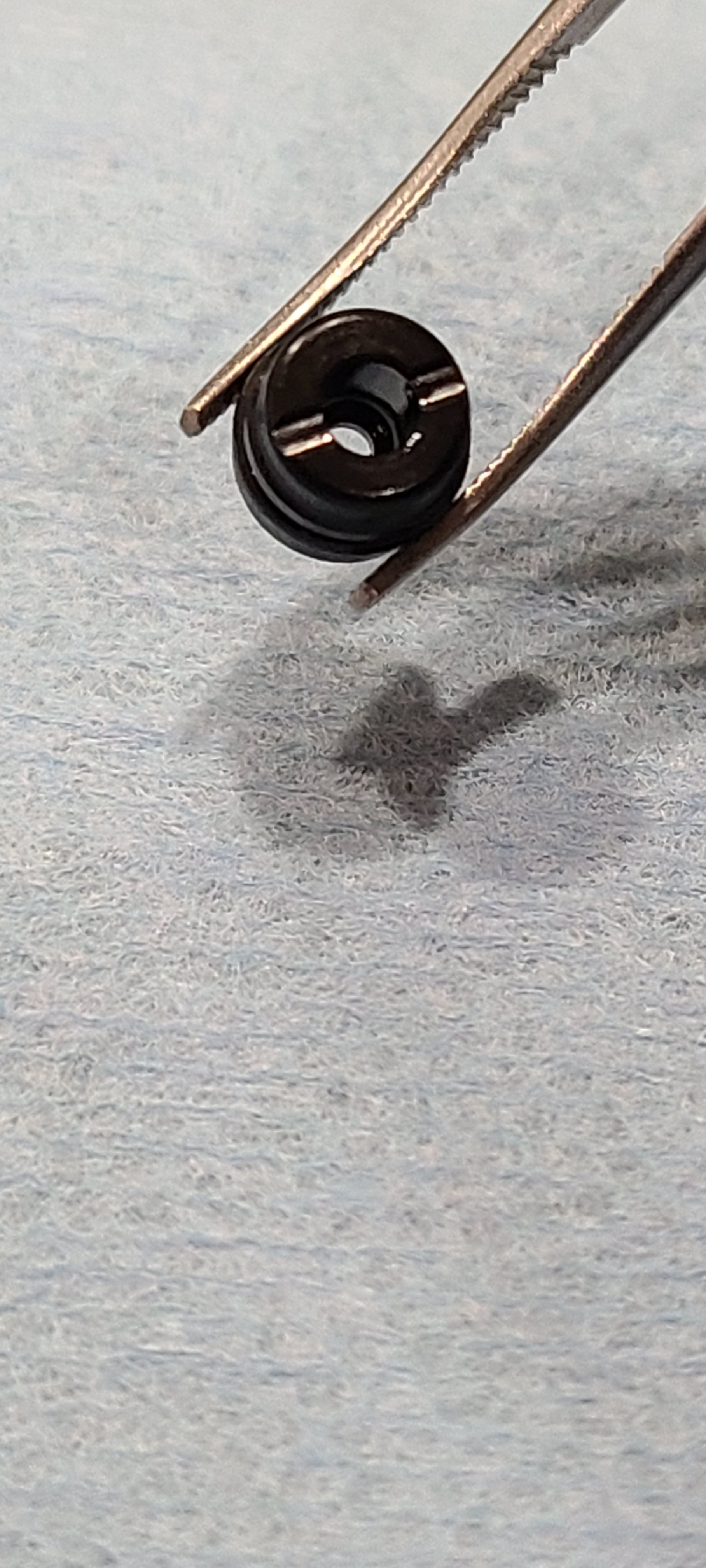 20220602_103402.jpg